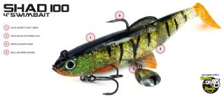 Molix Shad 100 Swimbait - 